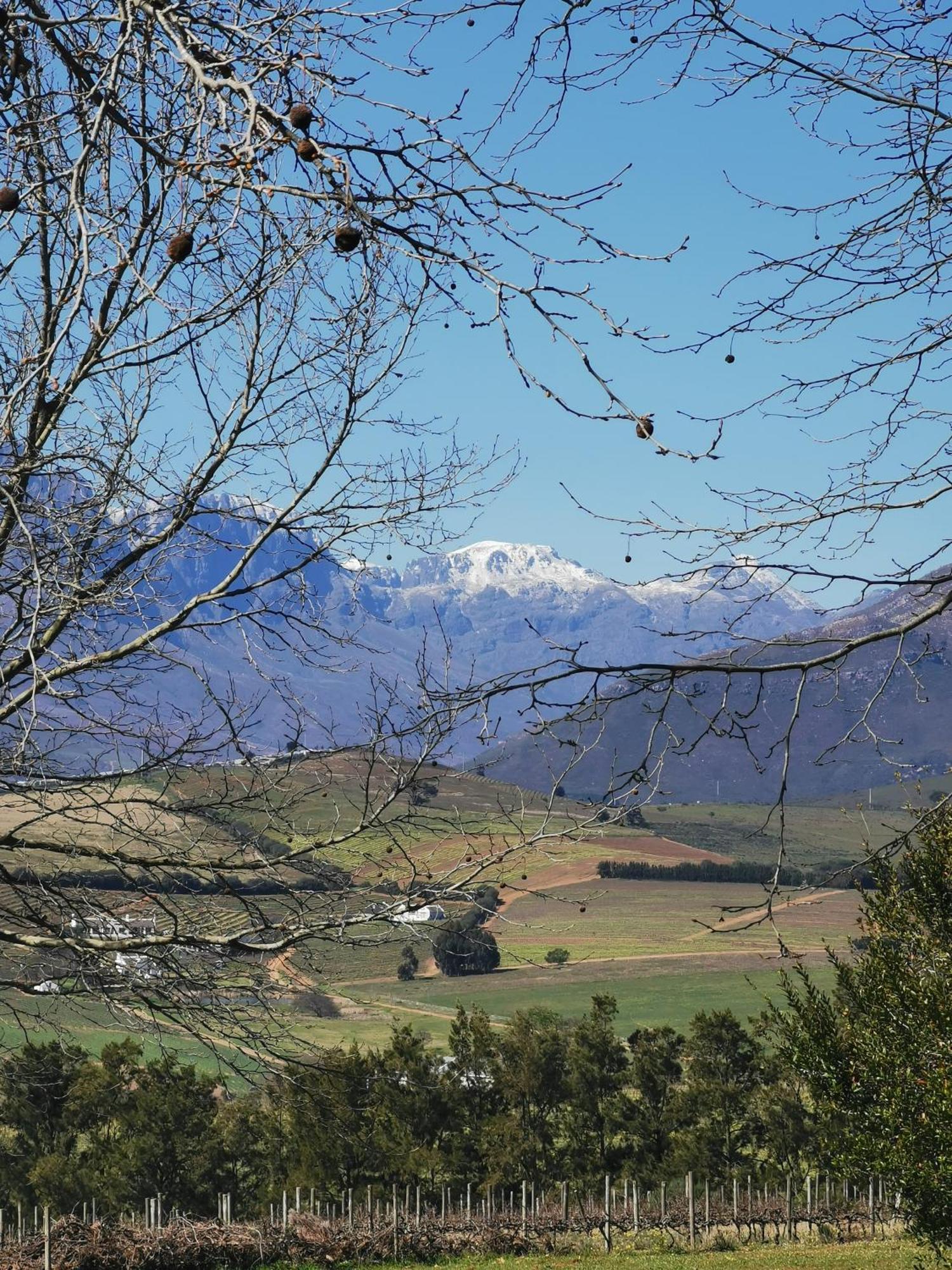 Gemoedsrus Farm Villa Stellenbosch Exterior photo